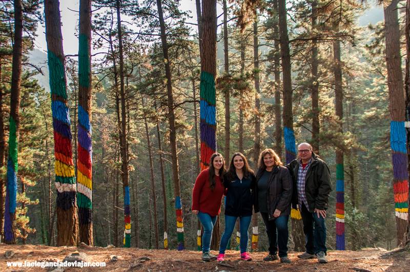 En familia por el bosque de Oma
