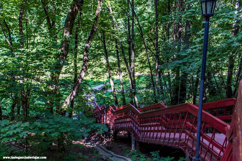 Naturaleza en la Aldea de Kolomenskoye