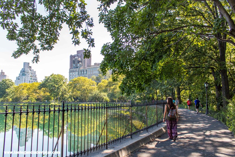 Caminando por Central Park