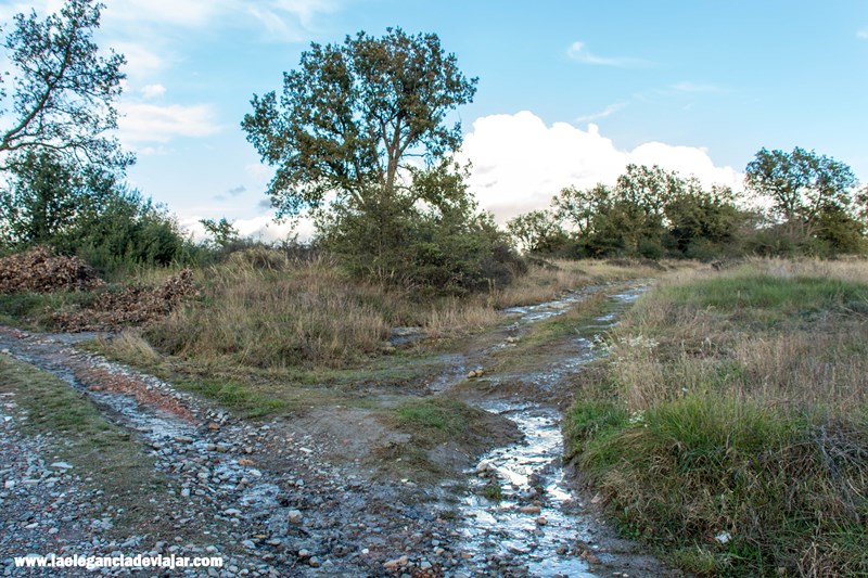 Cómo llegar al mirador del meandro del Ter