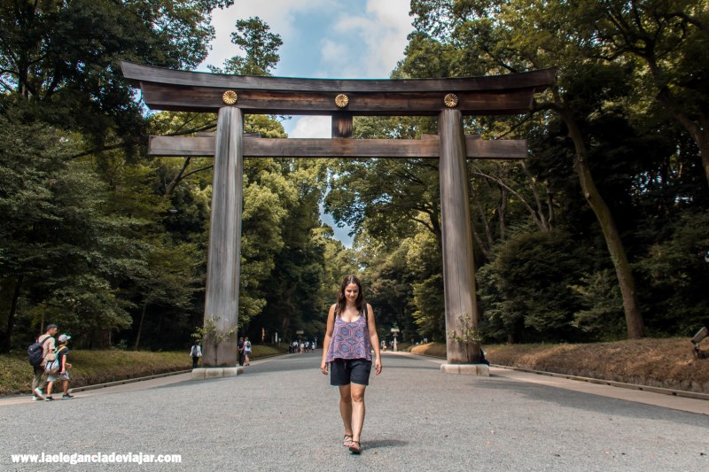 Torii del Santuario Meiji