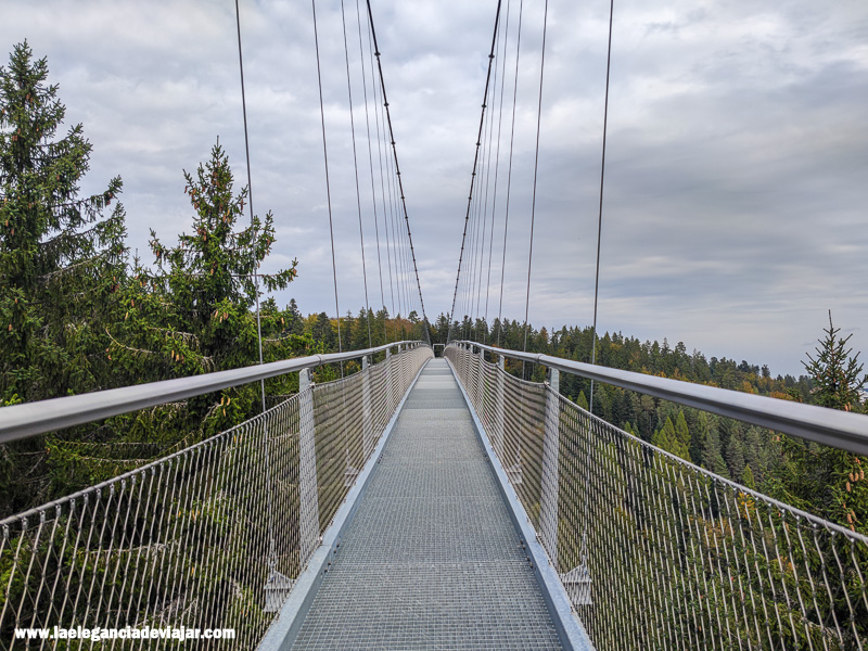 Puente colgante en la Selva Negra