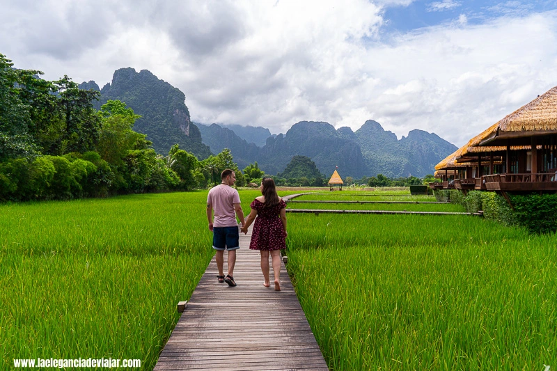 Arrozales de Vang Vieng